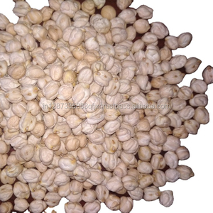 Meilleur prix pour les pois chiches disponibles en gros, en vrac et avec livraison rapide - Product Image 6