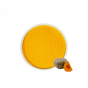 Polvo de Calabaza de Alta Calidad, Grado Alimenticio Premium, Proveedor a Granel para una Preparación de Alimentos y Cocción Convenientes - Product Image 3