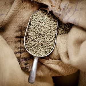 HANCOFFEE Grains de café vert Robusta de haute qualité Lam Dong |   100% Robusta |   Matières premières en vrac |    Maturité 2026 |   Approvisionnement à l'exportation - Product Image 1