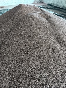 Semillas de Ricino Premium |   Semillas de Ricino (Ricinus Communis) |   Alto contenido de aceite 48-52% |   Exportación a granel a India - Product Image 2