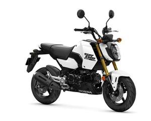 Motocicleta MSX125 de 125cc, Refrigerada por Aire, Divertida, Disponible Ahora, 2025 - Product Image 1