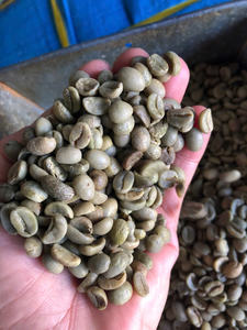 HANCOFFEE 2026 กาแฟโรบัสต้าเมล็ดเขียวเวียดนาม ผลผลิตใหม่ - ราคาขายส่งที่แข่งขันได้ - บรรจุในถุง PP/ถุงปอกระเจา ขนาด 60 กก. - Product Image 3