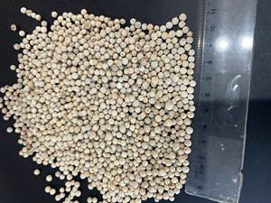 พริกไทยขาวพรีเมียม 630GL แบบเม็ด |   จัดหาโดยตรงจากโรงงาน |   สีสันสดใส |   เหมาะสำหรับตลาดตะวันออกกลาง สหภาพยุโรป และสหรัฐอเมริกา (จอยซ์) - Product Image 6