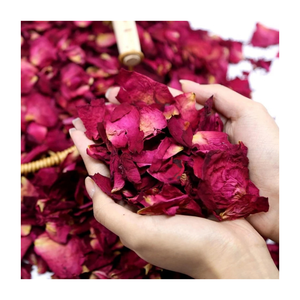 Pétales de rose rouge séchés naturels en gros - Écologiques et durables pour la décoration de mariage, les bains, l'artisanat et les projets DIY |   99 Données Or - Product Image 1