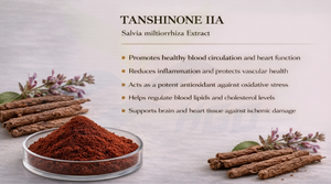 HGO, suministro directo de fábrica, extracto de Salvia miltiorrhiza Natural puro (grado alimenticio saludable), especificación Tanshinone IIA 10% - Product Image 4
