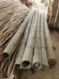 Unique Design <b>Garden</b> Stakes Moso Bamboo Stick With Reasonable Price - Product Image 3