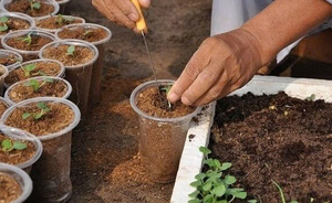 Eco-Friendly Coco Peat <b>Block</b> Making Machine High Water Retention Biodegradable Garden Use From Eco2go Vietnam - Product Image 4