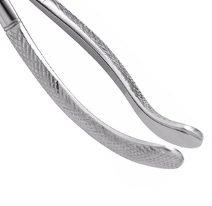 Forceps d'extraction dentaire en acier inoxydable, instrument chirurgical manuel avec poignée moletée, certifié CE - Product Image 5