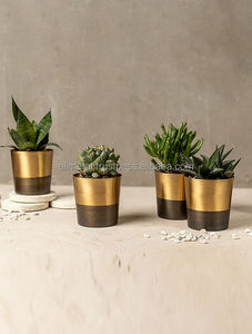 Maceta de latón de dos tonos de alta calidad con acabado recubierto de polvo para el hogar y el jardín que complementa su espacio vital - Product Image 5