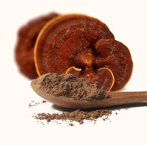 Premium Ganoderma <b>Mushroom</b> Extract Powder Bulk 100% Pure Natural Herbal Supplement for Immunity Support OEM Wholesale Supply - Product Image 2