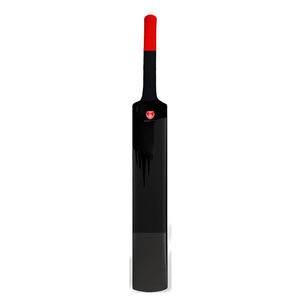 Batte de cricket OEM légère et équilibrée – Équipement de match haut de gamme – Batte de cricket OEM – Prix usine – Batte de cricket durable en gros - Product Image 1