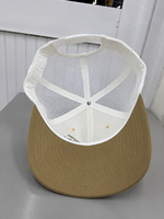 Gorra Trucker Personalizada de 5 Paneles, Gorra de Pesca con Logotipo Bordado en 3D, Gorra de Béisbol Ajustable con Malla y Cierre a Presión, Parte Delantera de Algodón, Poliéster, OEM