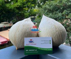 Noix de coco fraîche du Vietnam avec gravure au laser propre et longue durée de conservation pour la vente au détail de jus de café et le service alimentaire - Product Image 6