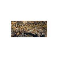 Panneau de pierre rustique translucide ultra fin