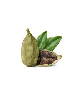 Gousse de cardamome verte naturelle de qualité supérieure, taille 6-7 mm, petite, aromatique, épice entière, fournisseur - Product Image 1