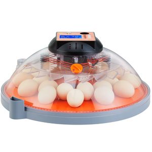 Incubatrice di Alta Qualità con Capacità di 24 Uova, Controllo Automatico di Temperatura e Umidità, con Vassoio Rotante per Allevamento Avicolo - Product Image 1