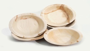 Ensemble d'assiettes jetables biodégradables et compostables en feuilles de palmier carrées pour la vente à emporter et l'usage occasionnel - Product Image 2