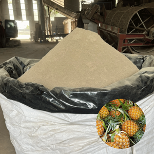 Polvo de Cáscara de Piña de Primera Calidad, Suministro de Fabricante Vietnamita, Más Vendido, a Bajo Precio, Empacado en Bolsas de 50 kg - Product Image 1