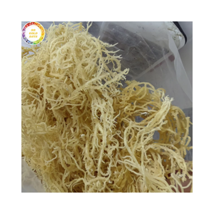 สาหร่ายแห้งยูเชียมา คอตตอนนี วัตถุดิบสำหรับคาร์ราจีแนน เกรดอาหาร จำหน่ายส่งออกจำนวนมาก - Product Image 1
