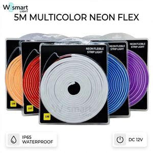 Tira <span class=keywords><strong>de</strong></span> Luz LED <span class=keywords><strong>de</strong></span> Neón <span class=keywords><strong>Flexible</strong></span> <span class=keywords><strong>de</strong></span> 12V CC, 5M, Impermeable, <span class=keywords><strong>de</strong></span> PVC <span class=keywords><strong>Flexible</strong></span> para Bricolaje, Iluminación Ambiental <span class=keywords><strong>de</strong></span> un Solo Color Regulable para Interiores y Exteriores - Product Image 1