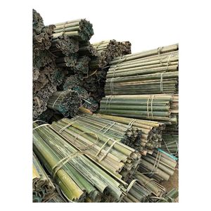 Blue Lotus, LOS MÁS VENDIDOS, Varas de Bambú Resistentes, Sostenibles y Resistentes a la Intemperie, para Soporte de Plantas en Viveros - Product Image 1