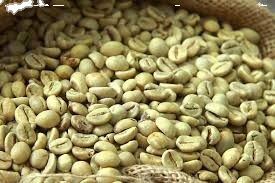 Grano de Café Verde Crudo Arábica Vietnam Lam Dong Screen 16 para Cafeterías, Grado 1, Calidad Premium, Precio de Fábrica - Product Image 6