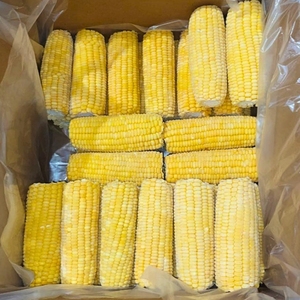 ข้าวโพดหวานต้มแช่แข็ง IQF ออร์แกนิกคุณภาพสูง พร้อมใช้สำหรับสลัด ซุป ผัดเนย ข้าวผัด บรรจุภัณฑ์สุญญากาศ กล่อง 1 กก. - Product Image 2