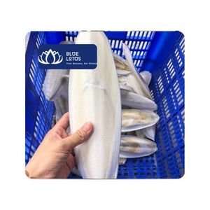 [VENTA CALIENTE] Hueso de Sepia Sin Granos y Alto en Proteínas para Aves, Peces y Serpientes, Alimento Diario, Enriquecimiento de Jaulas, Exportación Vietnam - Product Image 1