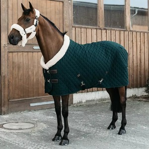2026 Premium Quality Waterproof Polycotton Horse Rugs Dark Blue Turnout Custom Design Lightweight Quick-dry Winter Warm Pakistan - Product Image 1