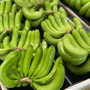 Bananes vertes du Vietnam de qualité supérieure pour le marché mondial - Product Image 6