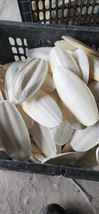 Hueso de Sepia Natural de Vietnam, tamaño 5-10cm, para Aves y Mascotas, Proveedor Mayorista OEM para el Mercado de la UE - Product Image 5