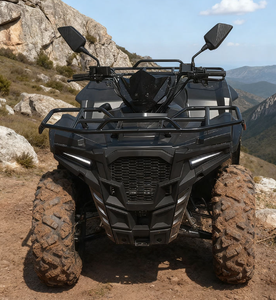 300cc Adult Gasoline ATV Automatic Transmission 4x2 Off-road <b>Quad</b> <b>Bike</b> Farm ATV Factory <b>Wholesale</b> Quadriciclo Cuatrimoto - Product Image 4