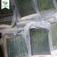 VIET THIEN PHU exportkwaliteit diepvries bananenblad industrieel natuurlijk voedselverpakkingsmateriaal uit Vietnam