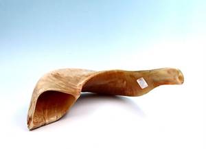 Shofar de Cuerno de Carnero Molido a Mano, Semipulido, Natural, Kosher, Judío, de 13-15 pulgadas (30-34 cm) - Product Image 4