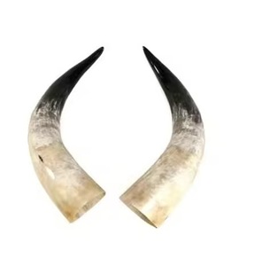 Cuernos de Búfalo Naturales en Forma de Animal, Decoración para el Hogar, Cuernos de Vaca para Beber - Product Image 1