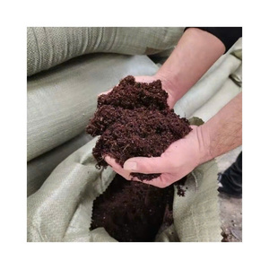 Eco Friendly Coconut Peat <b>Block</b> Sustainable Growing Solution - Product Image 1