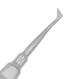 Elevador Dental Seldin 4R con Punta de 10 mm, Instrumento Quirúrgico de Extracción de Dientes y Elevación de Raíces, Acero Inoxidable - Product Image 4