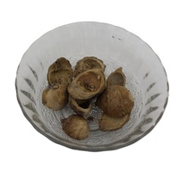 Tokra Impex Pot-pourri en vrac de haute qualité, écologique, à base de coques de noix de bétel naturelles séchées, d'origine indienne, pour décoration