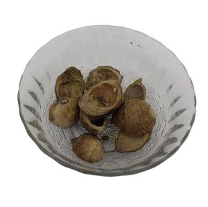 Tokra Impex Areca Botanique Indienne de Haute Qualité, Pot-pourri en Vrac Écologique, Coque de Noix de Bétel Naturelle Séchée, Décoration d'Intérieur - Product Image 5