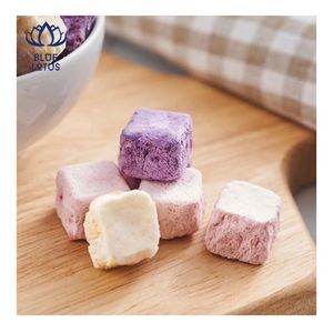 Cubos de Yogur Deshidratado de Alta Demanda para Snacks y Coberturas de Postres para Panaderías y Cafeterías - Product Image 6