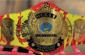 Cinturón de Campeonato de Lucha Libre Personalizado W-W-E H-U-L-K H-O-G-A-N con Diseño de Águila Alada, Ligero, Duradero, Transpirable y Ecológico - Product Image 3