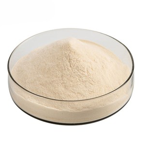 Approvisionnement en gros : Extrait de gel d'aloe vera pur à 100 % 200:1, poudre d'aloe barbadensis de qualité supérieure pour applications cosmétiques et phytothérapeutiques - Product Image 2