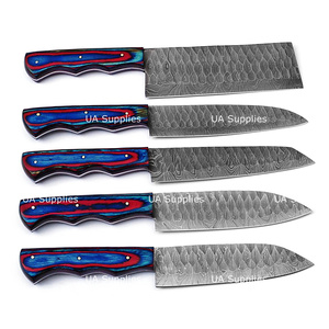 Ensemble de 5 couteaux de cuisine en acier Damas forgé à la main, manche ergonomique moderne en bois Pakka, ambidextre, pleine longueur, OEM/ODM - Product Image 2