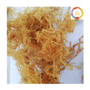 <b>Sea</b> <b>Moss</b> Bulk | Dried Eucheuma Cottonii | <b>Raw</b> Organic Seaweed | Manufacturer Supplier Vietnam - Product Image 2