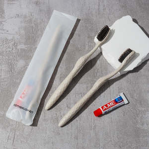 Custom Eco-friendly Product Hygiene Hotel Supplies Soft Plastic Dental <strong>Kit</strong> for Hotel Toiletry <strong>Set</strong> Hotel Amenities <strong>Set</strong> With Logo - Product Image 4