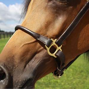 Cabestro de Cuero Fino Enrollado para Caballo, Estilo Inglés, Color Marrón, con Cadena Dorada, Resistente y Duradero, Material y Tamaño Personalizables - Product Image 3