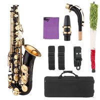 Starway OEM ODM Black Alto Saxophone E-Flat Low Moq Professional Concert Wind Musical Instruments for Band
