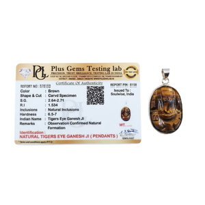 Pendentif unisexe en forme d'hexagone religieux Ganesha en œil de tigre - Product Image 1