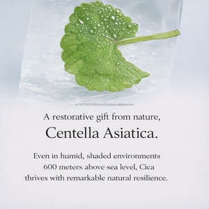 Sérum Ampolla Facial Coreano con Bakuchiol y Adenosina para una Piel Radiante, Hidratante y Potenciadora, Etiqueta Privada Personalizada - Product Image 4