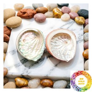 Iridescent Abalone <b>Shell</b> Decorative Accent Natural <b>Shell</b> <b>Ornament</b> for Home Interior Tabletop Display and Coastal Decor - Product Image 2